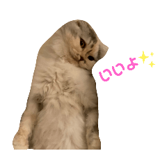 [LINEスタンプ] ちーちゃん No.4