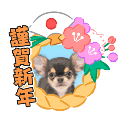 [LINEスタンプ] チワワのチャーリーお正月 feat O