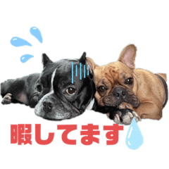 [LINEスタンプ] ルルとチャチャpart2