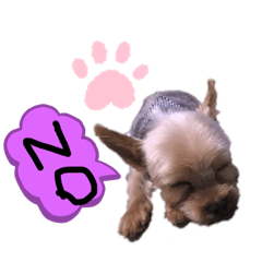 [LINEスタンプ] 僕、チッチと言います。