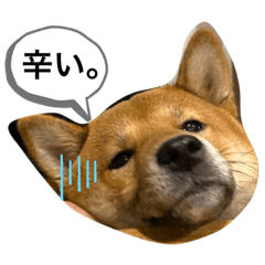 [LINEスタンプ] ぼく大和
