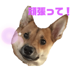 [LINEスタンプ] バイスタンプ