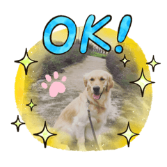 [LINEスタンプ] ジョワジョワ