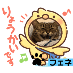 [LINEスタンプ] 我が家のスター達