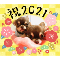 [LINEスタンプ] タラクラミックの正月