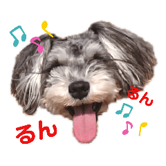 [LINEスタンプ] こはるんファミリー