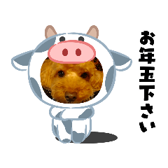[LINEスタンプ] 愛犬ちょこびのスタンプ②