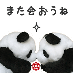 [LINEスタンプ] きっとまた会おうね