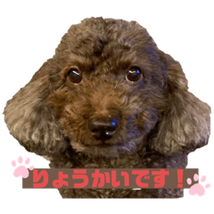 [LINEスタンプ] ワプの日常