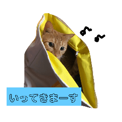[LINEスタンプ] 悟空と銀のお話☆
