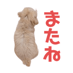 [LINEスタンプ] たら(249)