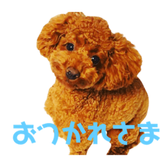 [LINEスタンプ] 雪乃(264)