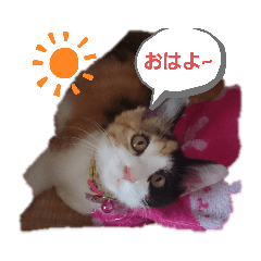 [LINEスタンプ] 私のともだち！