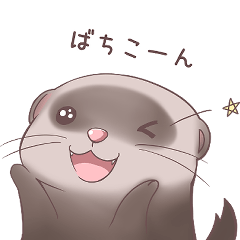 [LINEスタンプ] 仲良しかわいいフェレットちゃん