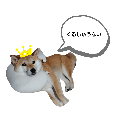 [LINEスタンプ] 小梅スタンプ〈2〉