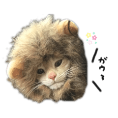 [LINEスタンプ] 琥珀only