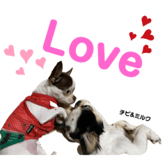 [LINEスタンプ] ❤️我が家の天使❤️