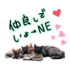 [LINEスタンプ] まーくん＆えりか