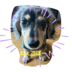 [LINEスタンプ] だいきちくんの日常スタンプPart 1