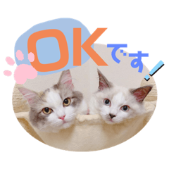 [LINEスタンプ] うさぎとくらげ