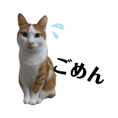 [LINEスタンプ] ずきちゃん