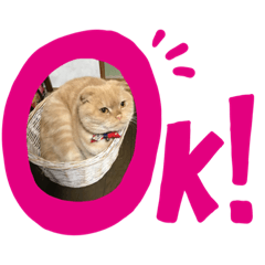 [LINEスタンプ] すこてぃっしゅ♥