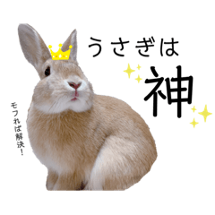 [LINEスタンプ] うさぎのむぎくん。2