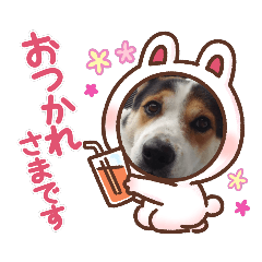 [LINEスタンプ] Love1062