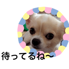 [LINEスタンプ] JIRO san-#1