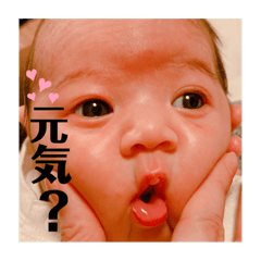 [LINEスタンプ] 楓笑さんスタンプ