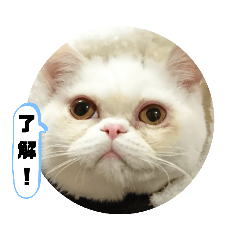 [LINEスタンプ] おもちゃん⑤