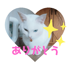 [LINEスタンプ] あにまるペット達1