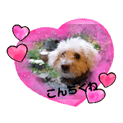 [LINEスタンプ] ラブリーハウオリ