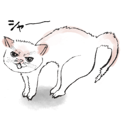 [LINEスタンプ] 我が家のお猫様スタンプ