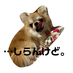 [LINEスタンプ] ちくわさんスタンプ①