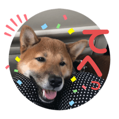 [LINEスタンプ] 大和その2