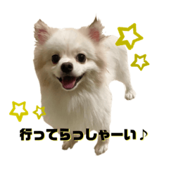 [LINEスタンプ] ベティー＆チャッピー3