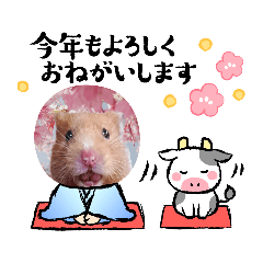 [LINEスタンプ] ハムスターまみれ