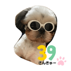 [LINEスタンプ] TENNCHA①