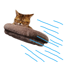 [LINEスタンプ] エイミーの猫友達
