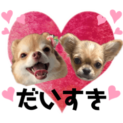 [LINEスタンプ] ひめちゃんはアイドル♡withののちゃん