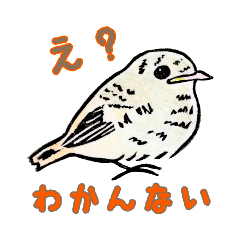 [LINEスタンプ] ジョウビタキだらけのはんこスタンプ