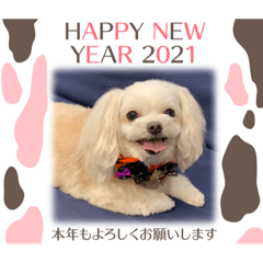 [LINEスタンプ] らぶ2021