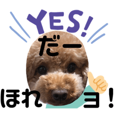 [LINEスタンプ] 徳島 南方言葉 （デカ文字）トイプークム2