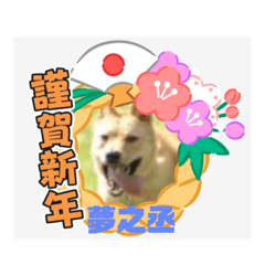 [LINEスタンプ] ピースワンコ保護犬スタンプ ワンだふるver