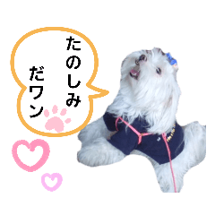 [LINEスタンプ] マルチーズ♡ロミ♡