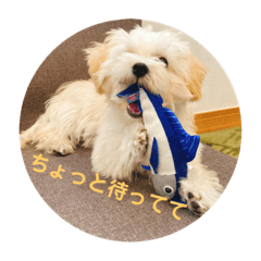 [LINEスタンプ] むぎちゃんの日常①