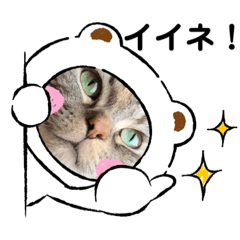[LINEスタンプ] 「ニャン！」しらすスタンプ