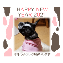 [LINEスタンプ] 2021yフレブルモー‼️
