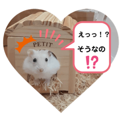 [LINEスタンプ] ハムすた ざらめちゃん♪